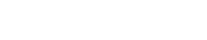 RaceTech Dynamics